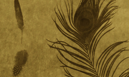 Feather Brushes PS - 01