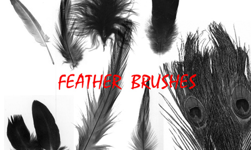 Feather Brushes