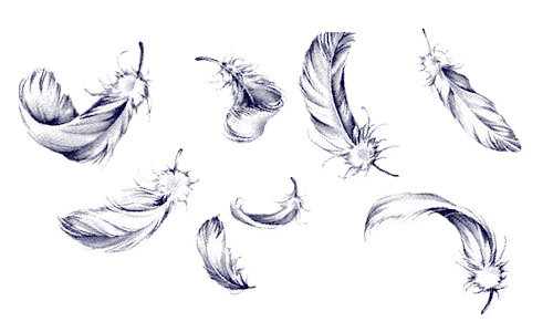 Feather Brush Set 1