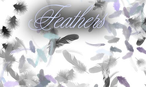 Feather Brushes