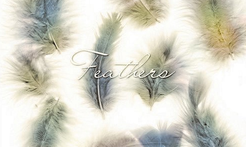 Feathers