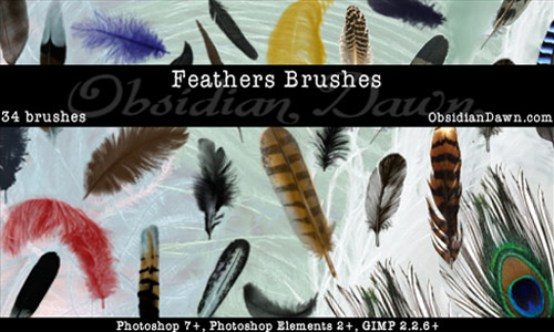 Feathers Photoshop Brushes
