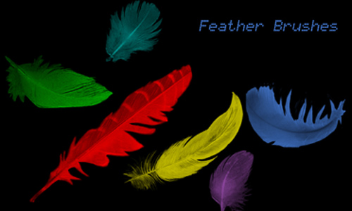 Feather Brushes