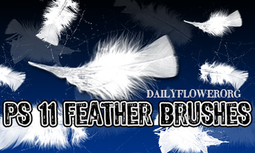 11 feather brushes