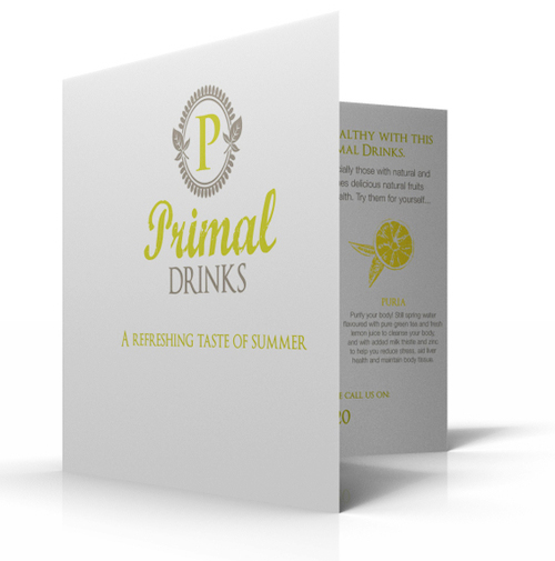 Creative Presentation Folder Designs 16 presentation-folders-16