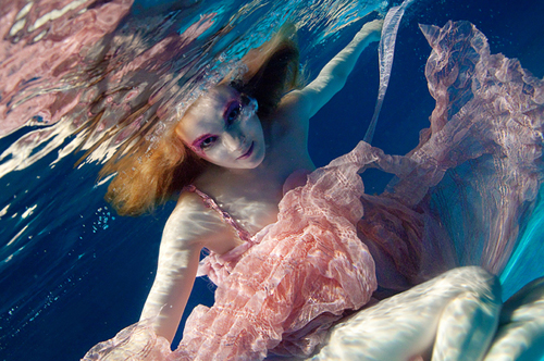 Underwater Photography by Evgeny Mlyukov Underwater Photography by Evgeny Mlyukov