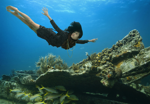 Underwater Photography by Erich Valo Underwater Photography by Erich Valo