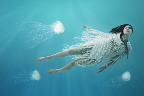 Underwater Photography by Erich Valo Underwater Photography by Erich Valo