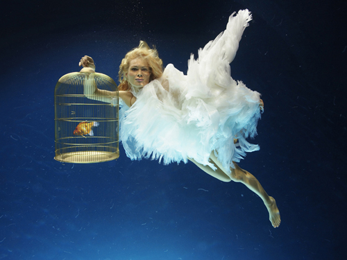 Underwater Photography Madonna Underwater Photography Madonna