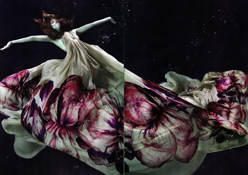 Underwater Photography by Alix Malka Underwater Photography by Alix Malka