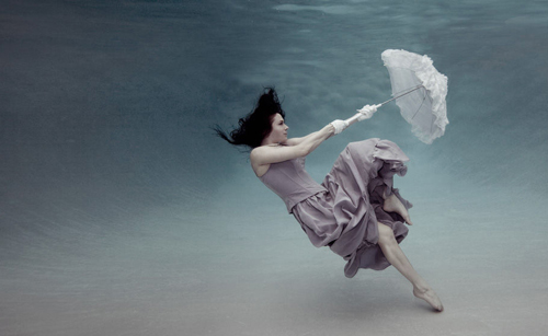Underwater Photography by Mallory Morison Underwater Photography by Mallory Morison