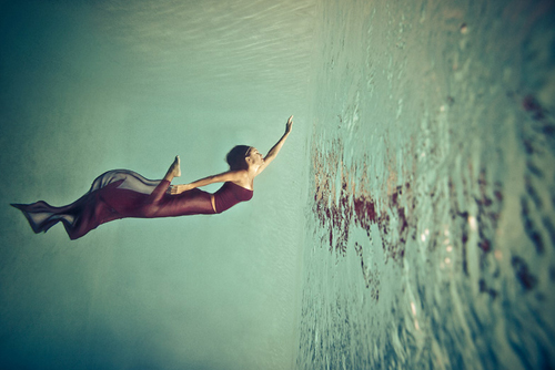 Underwater Photography by Christina Macfarlane Underwater Photography by Christina Macfarlane