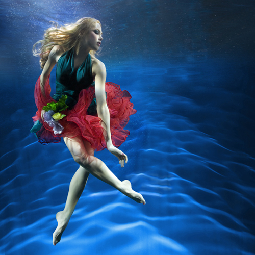Underwater Photography by Zena Holloway Underwater Photography by Zena Holloway