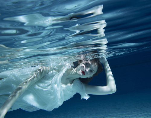 Underwater Photography by Soon Tong Underwater Photography by Soon Tong