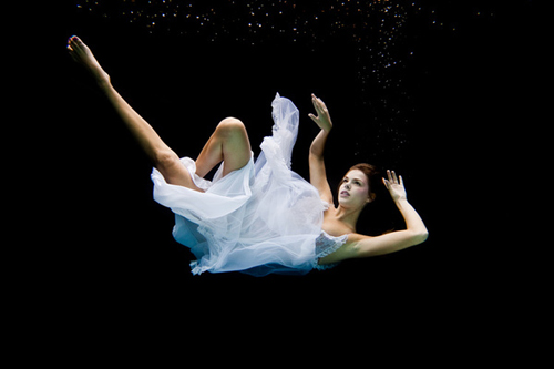 Underwater Photography by Michael Howard Underwater Photography by Michael Howard