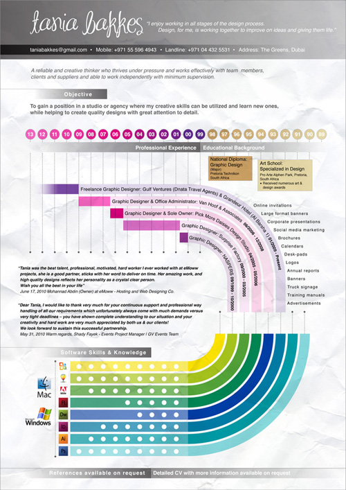 Curriculum Vitae Resume Infographics-29 curriculum-vitae-resume-infographics-29