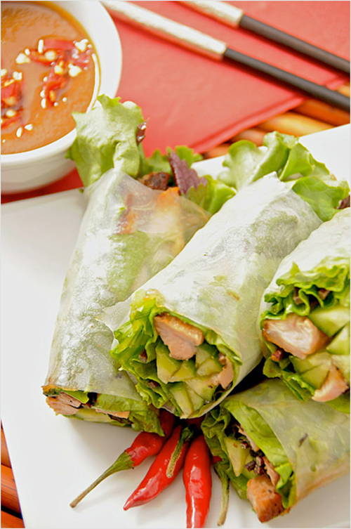 Food and Drink Photography Vietnamese Spring Rolls 39 food-and-drink-photography-39