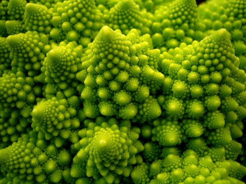 Patterns in Nature 06 patterns-in-nature-06