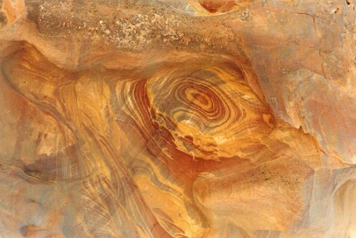 Patterns in Nature 17 patterns-in-nature-17