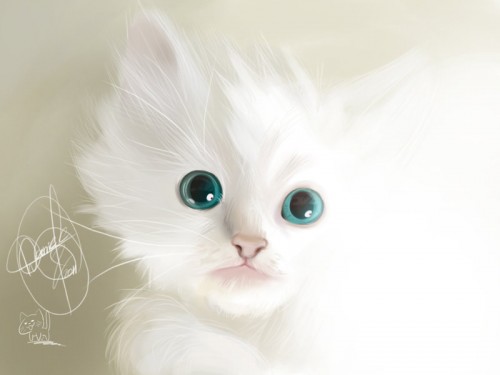 Cute Animal Illustrations cute-animal-illustrations