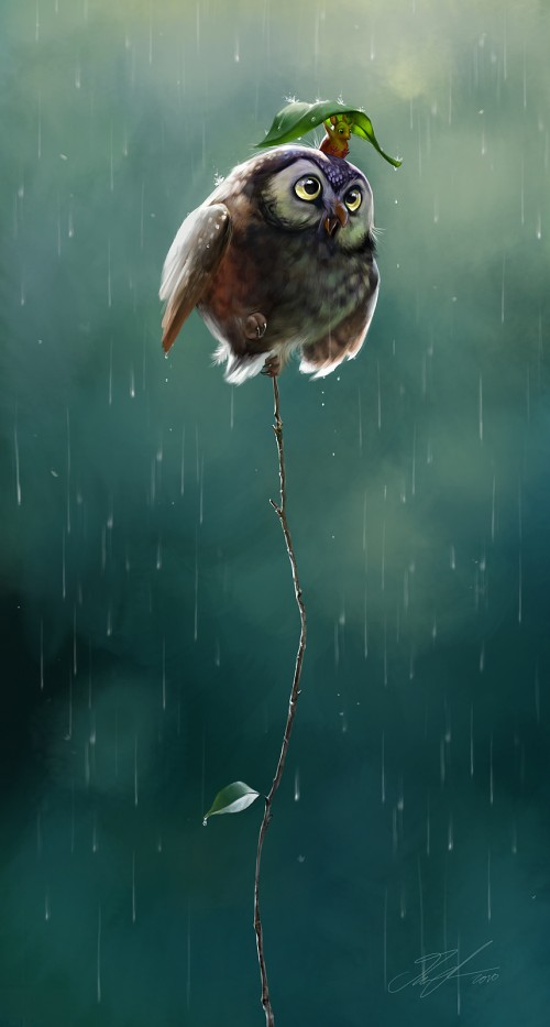Cute Animal Illustrations cute-animal-illustrations