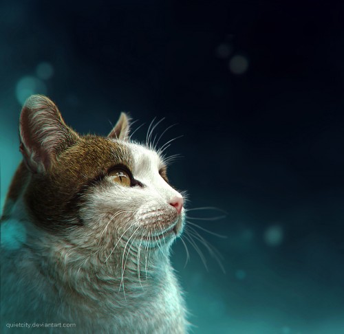 Cute Animal Illustrations cute-animal-illustrations