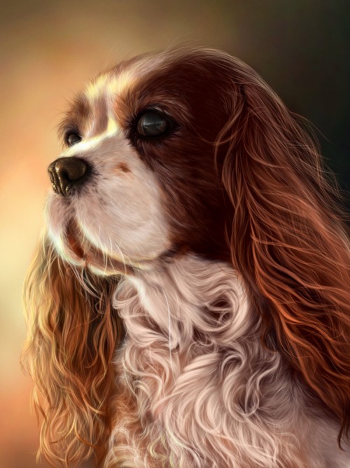 Cute Animal Illustrations cute-animal-illustrations