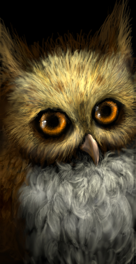 Cute Animal Illustrations cute-animal-illustration