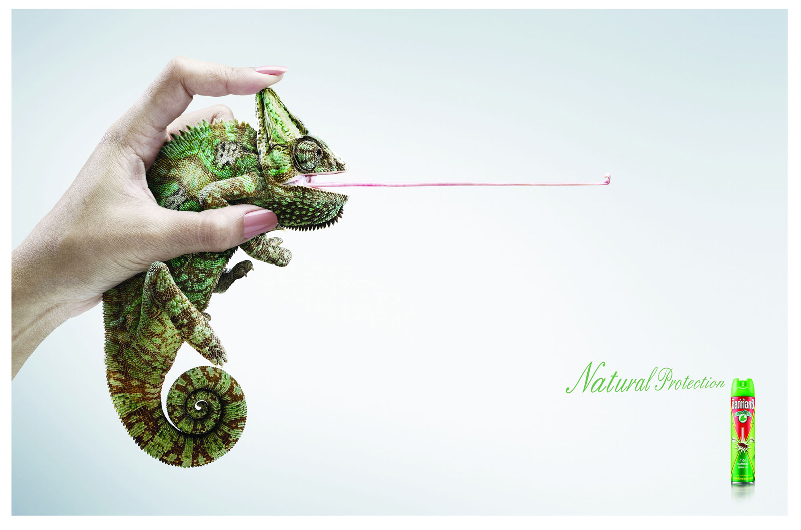 Funny Print Ads 22 Funny-Print-Ads-22
