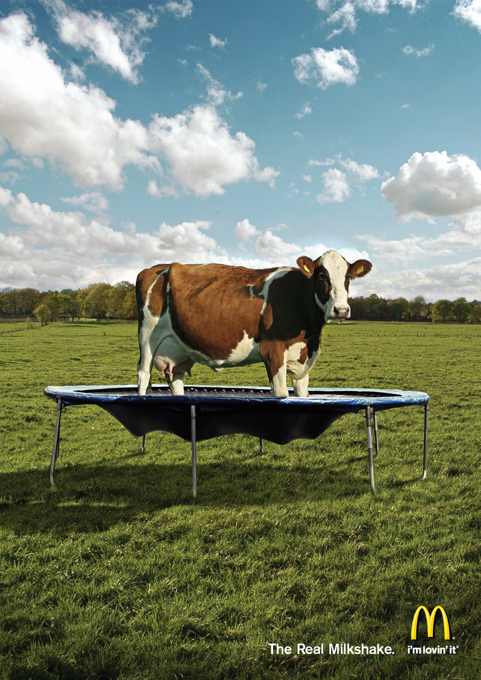 Funny Print Ads 43 Funny-Print-Ads-43
