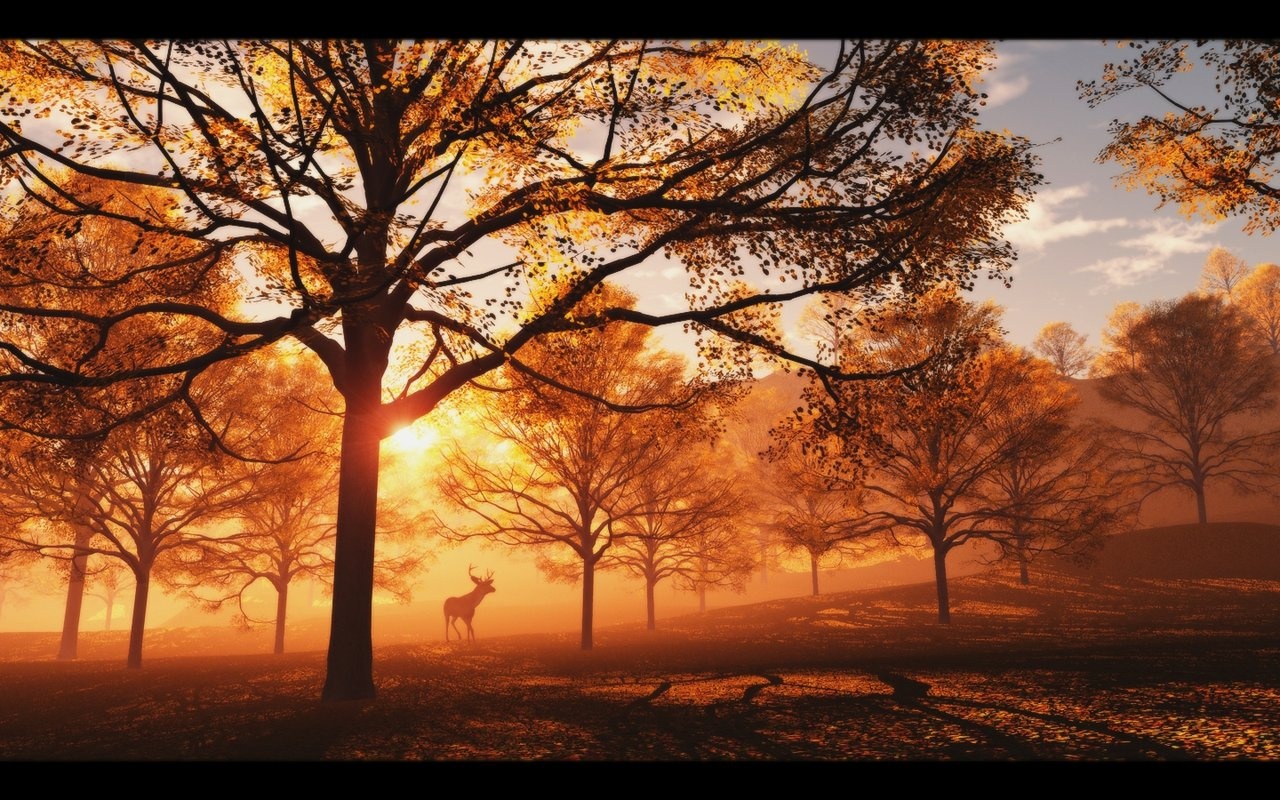 3D Wallpapers 16 3D-Wallpapers-16