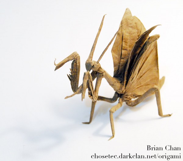 Beautiful Paper Art 27 paper-art-27