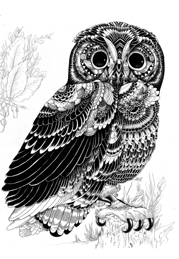Pen and Ink Illustrations 04 pen-and-ink-illustrations-04