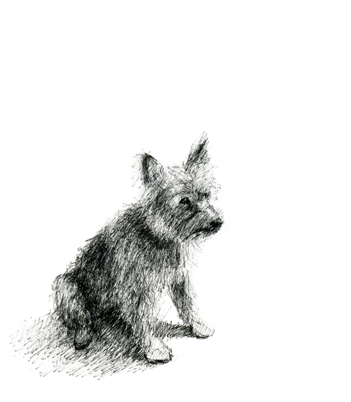 Pen and Ink Illustration 09 pen-and-ink-illustrations-09