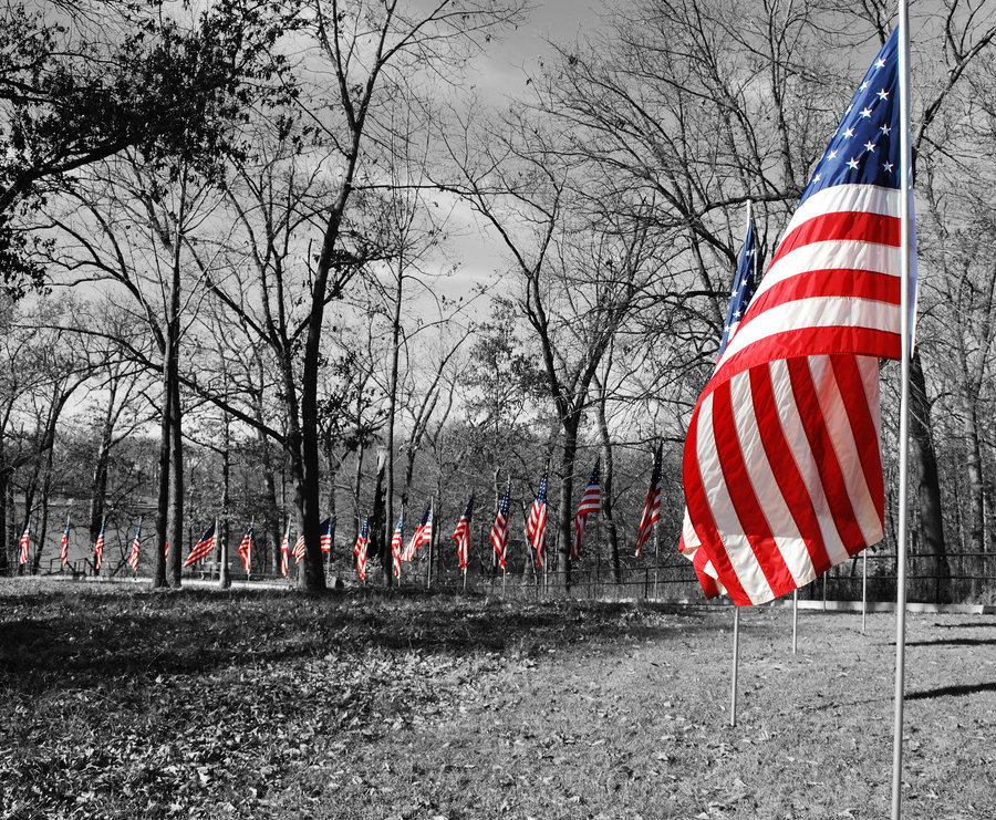 Veterans Day Pictures 17 Veterans-Day-Pictures-17