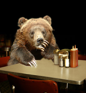 A recent study suggests bears that make a lot of decisions are less likely to make healthy food choices. A recent study suggests bears that make a lot of decisions are less likely to make healthy food choices.