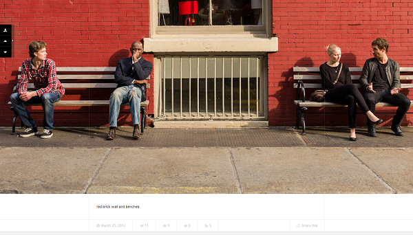 Web Design and Themes