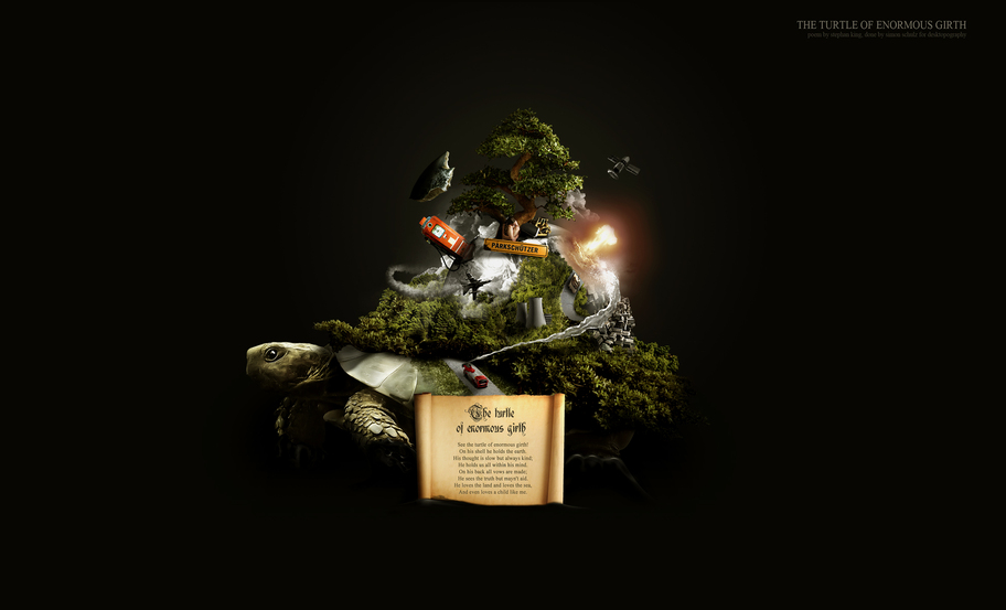 Turtle By Simon Schulz