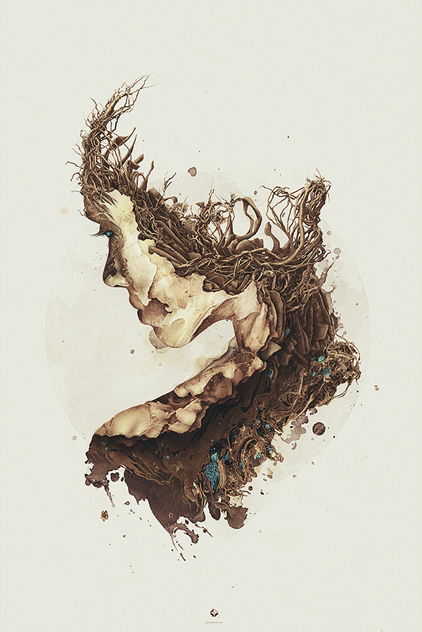 Bloodroot by Wojciech Pijecki