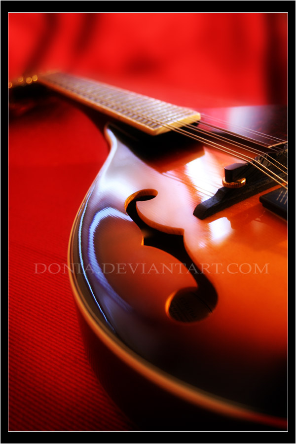 Mandolin by Donia
