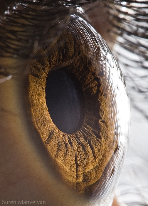 Your beautiful eyes by Suren Manvelyan