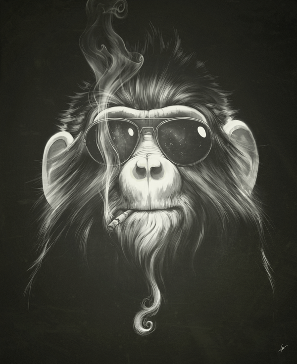 Prisoners Collection by Lukas Brezak