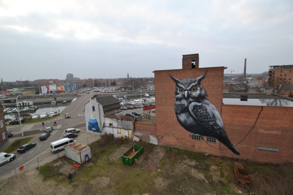 ROA in Belgium