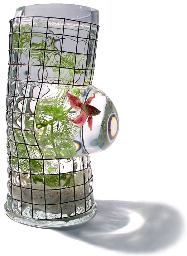 Decorative Fish tanks by Vanessa Mitrani