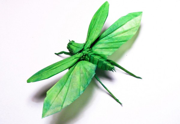 origami by brian chan