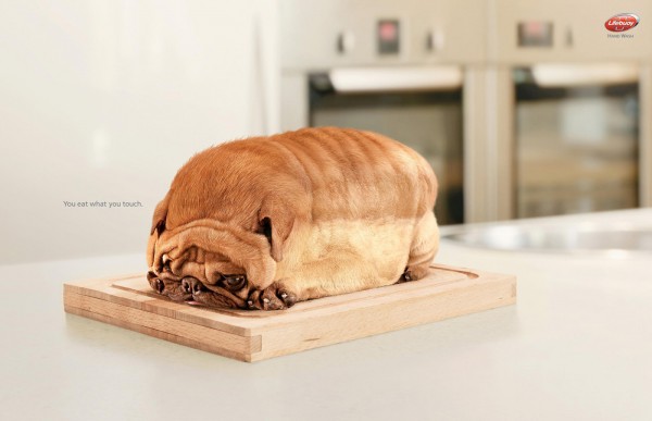 Dog Toast