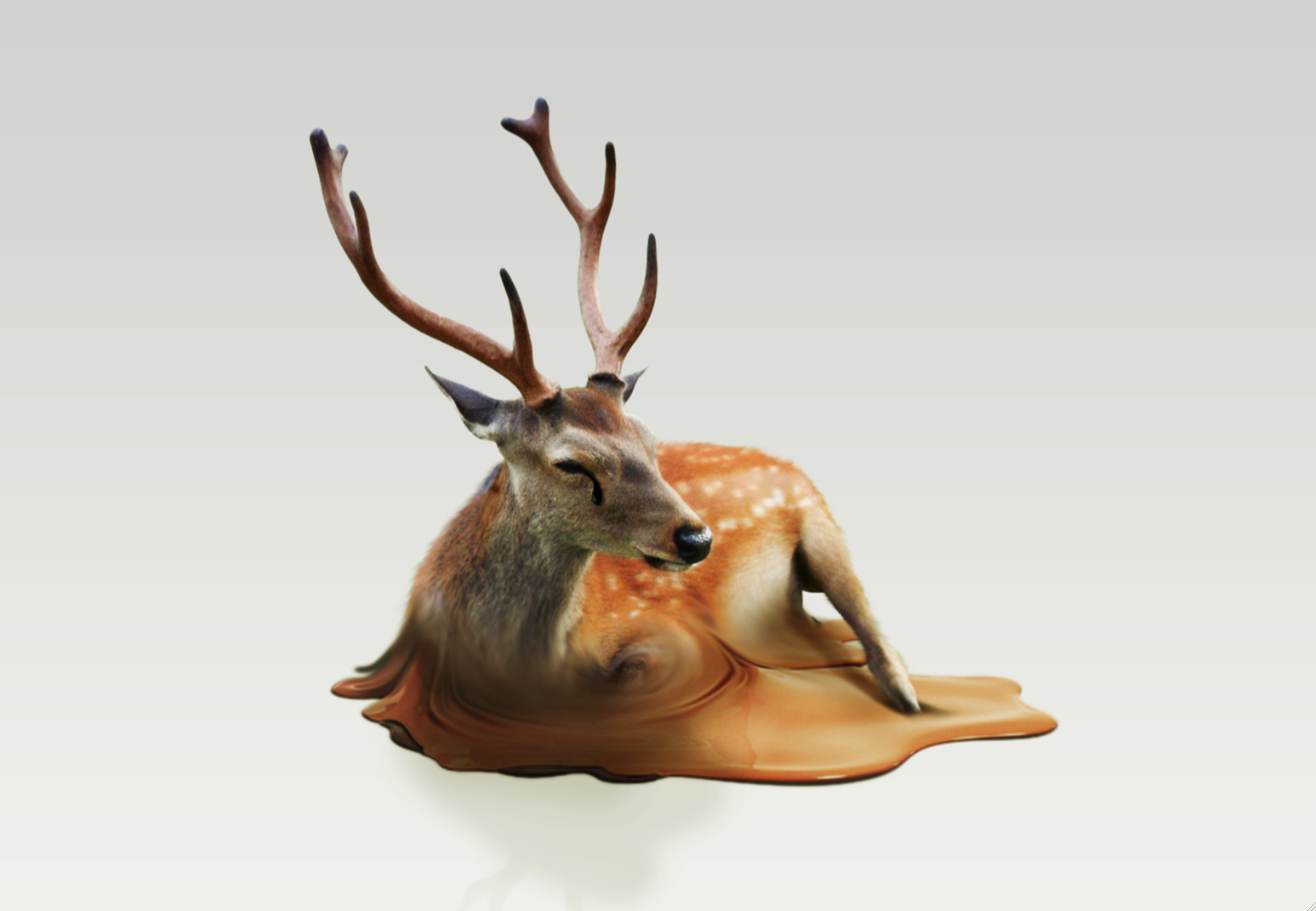 Melting Animals – Fabrica