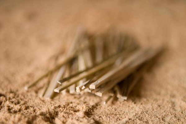 Depth of Focus Sample