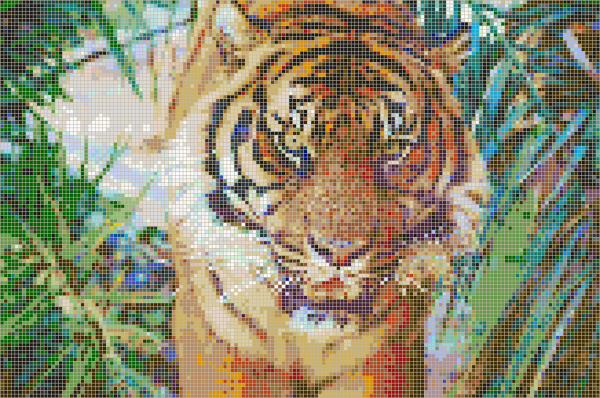 Mosaic vs Image resolution