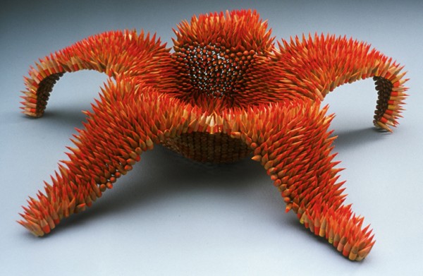Asteridae